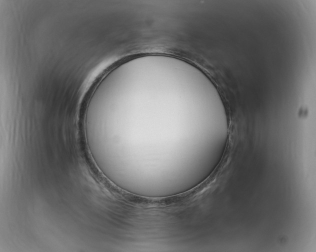 X0000113950200200909251011