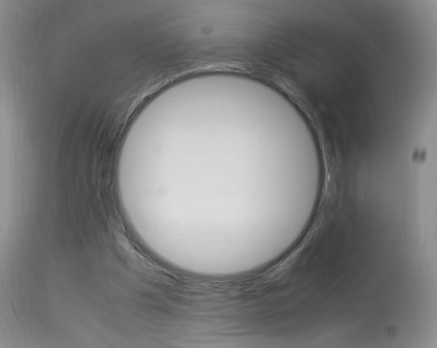 X0000113950201200909251011