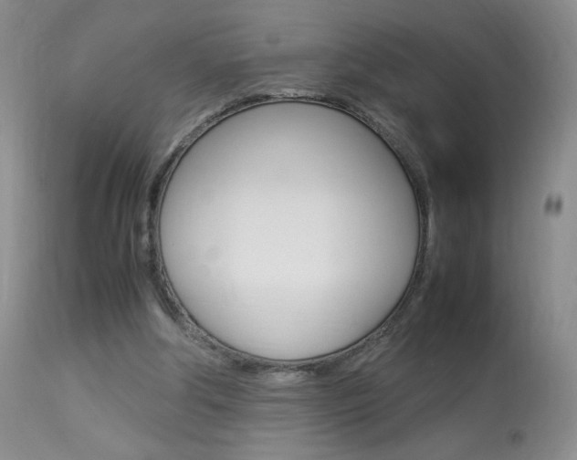 X0000113950202200909251011
