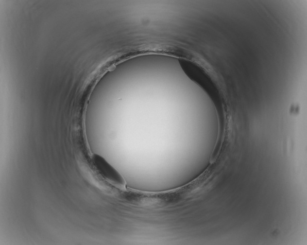 X0000113950203200909251011