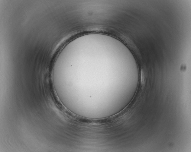 X0000113950204200909251011