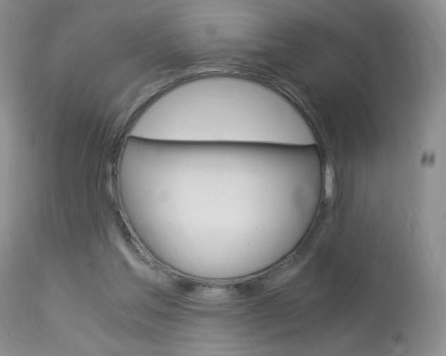 X0000113950205200909251011
