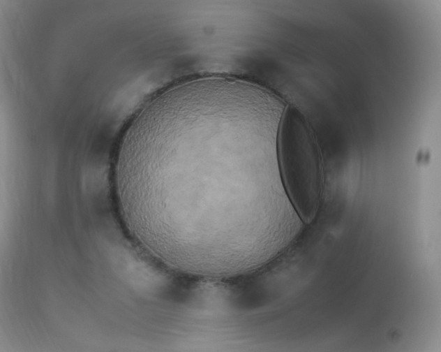 X0000113950207200909251011