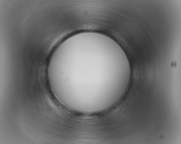 X0000113950208200909251011