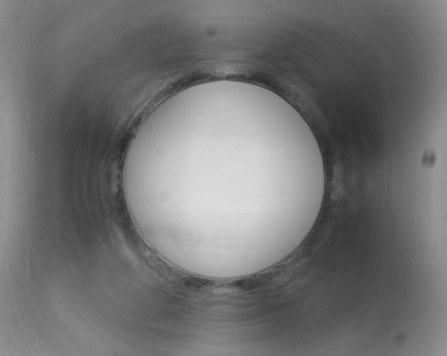 X0000113950210200909251011