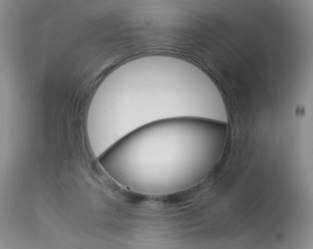 X0000113950211200909251011