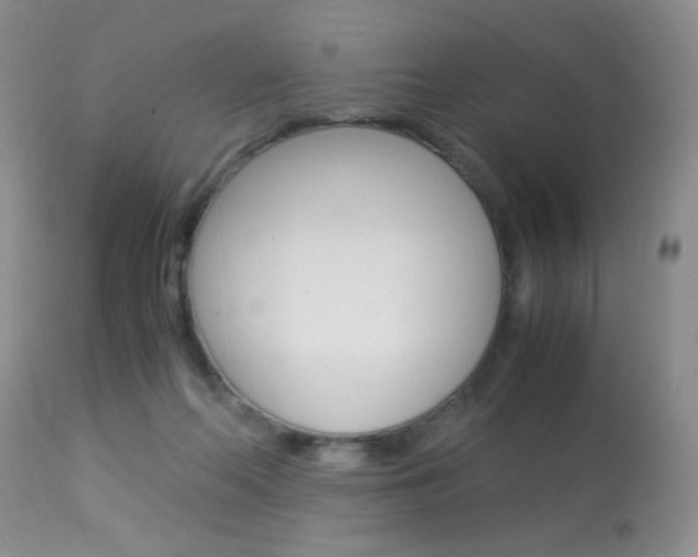 X0000113950214200909251011