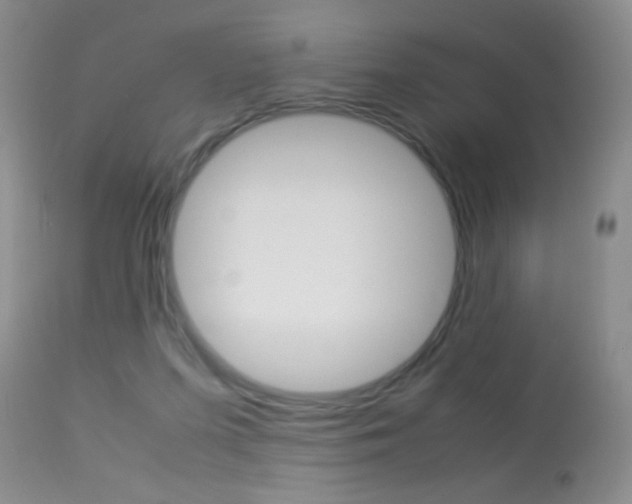 X0000113950215200909251011