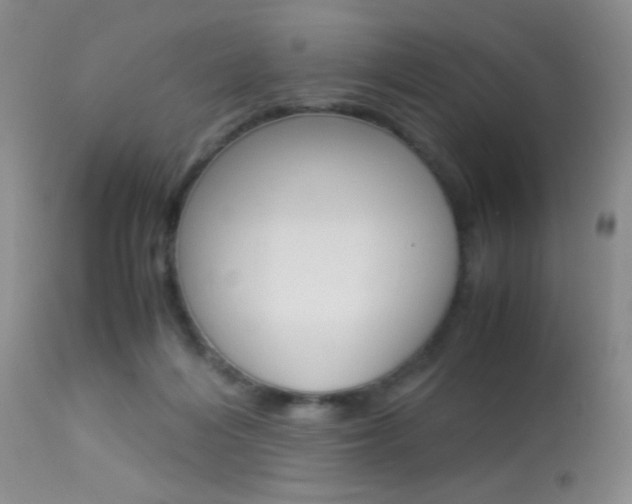 X0000113950216200909251011