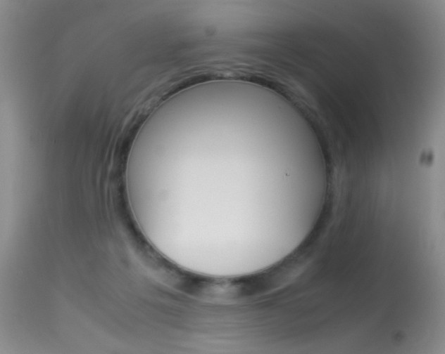 X0000113950217200909251011