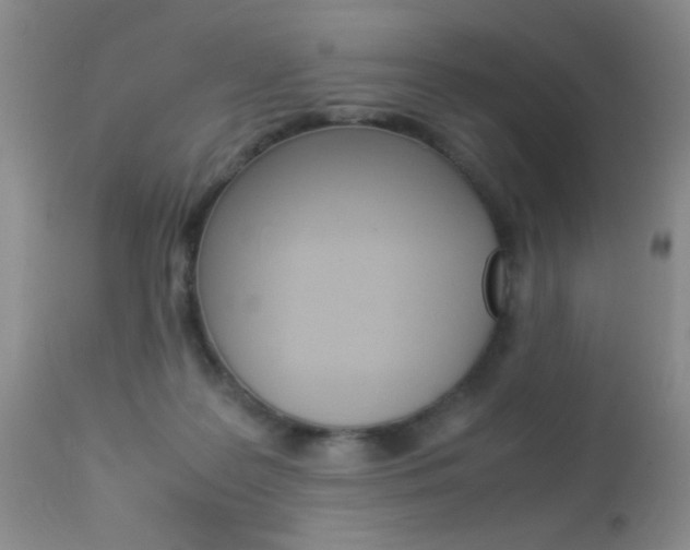 X0000113950219200909251010