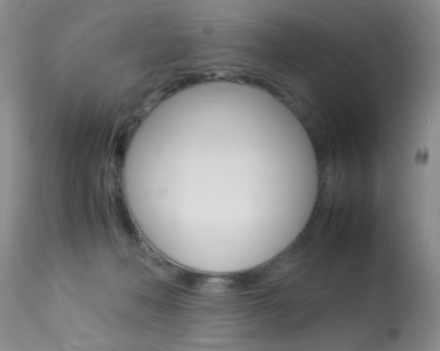 X0000113950222200909251010