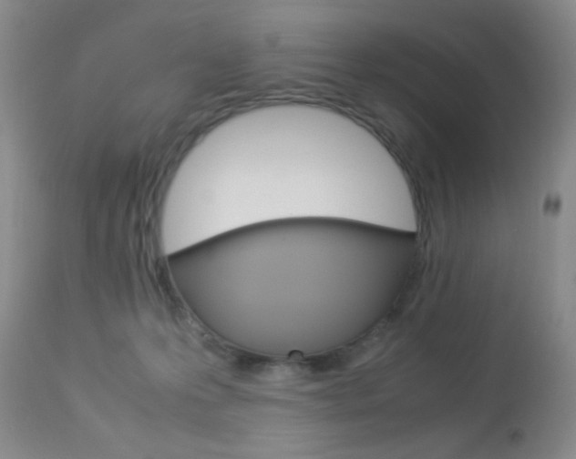 X0000113950223200909251010