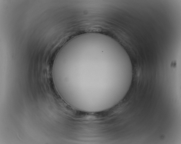 X0000113950224200909251010