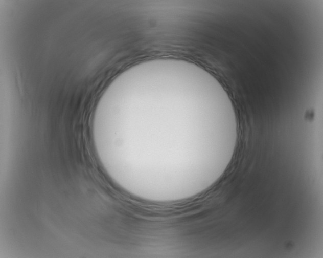 X0000113950225200909251010