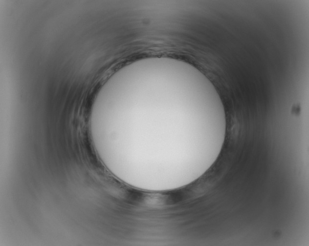 X0000113950226200909251010