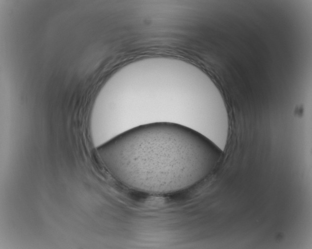X0000113950227200909251010