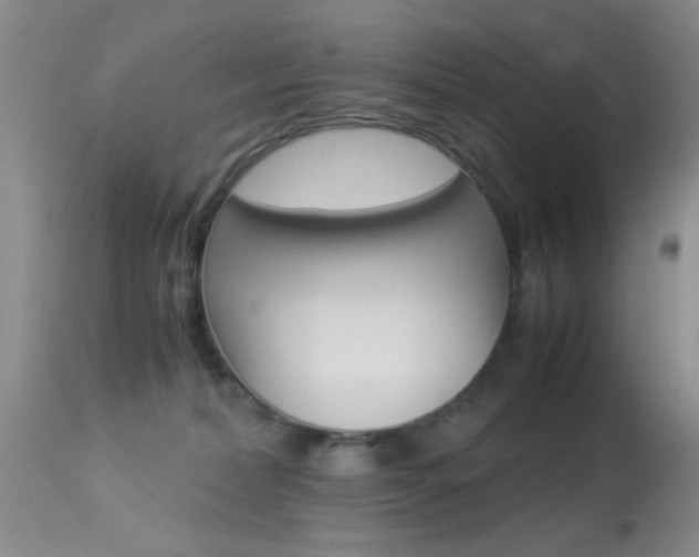 X0000113950228200909251010