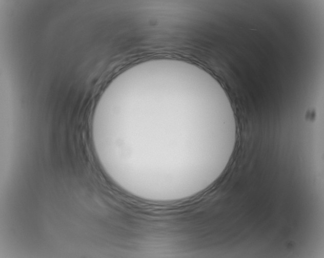X0000113950229200909251010