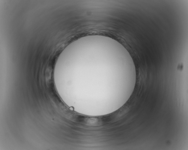 X0000113950230200909251010