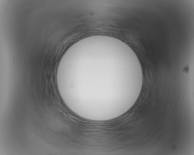 X0000113950233200909251010