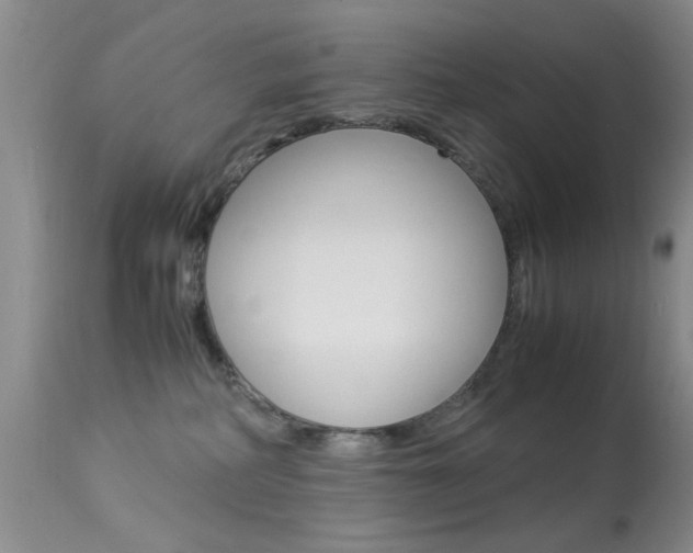 X0000113950234200909251010