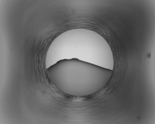 X0000113950235200909251010