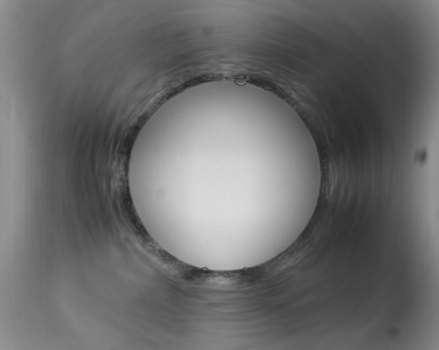 X0000113950236200909251010