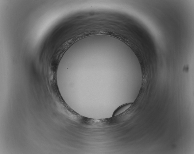 X0000113950239200909251010