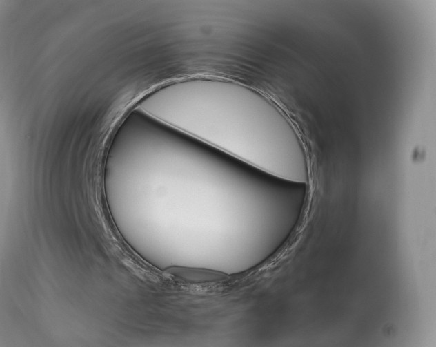 X0000113950241200909251009