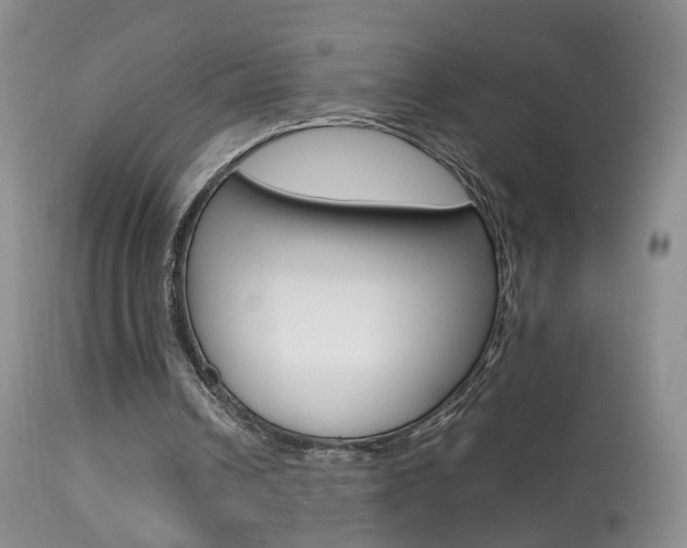 X0000113950242200909251009