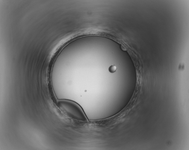 X0000113950244200909251009