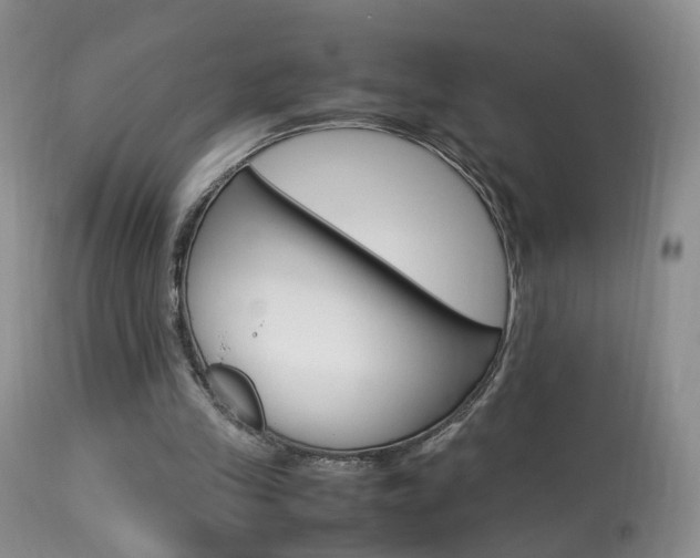 X0000113950245200909251009