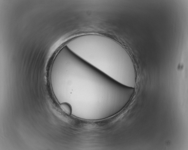 X0000113950246200909251009