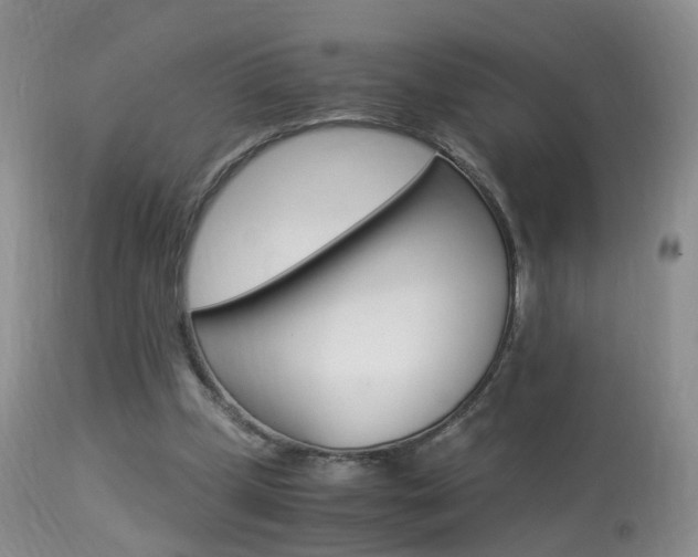 X0000113950249200909251009
