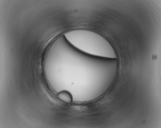X0000113950251200909251010