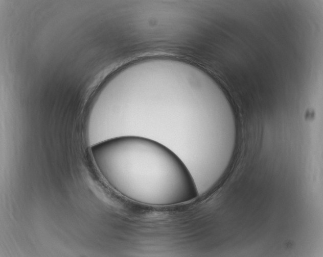 X0000113950252200909251010