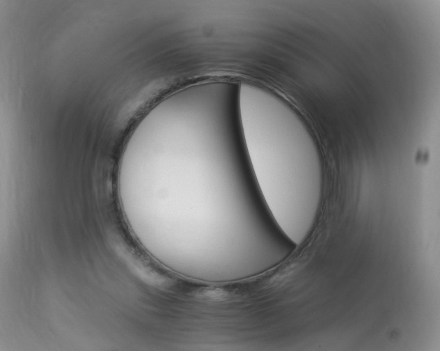 X0000113950253200909251010
