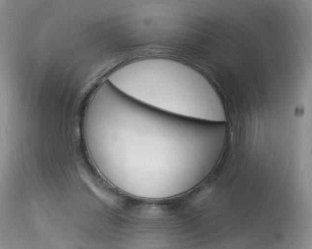 X0000113950254200909251010