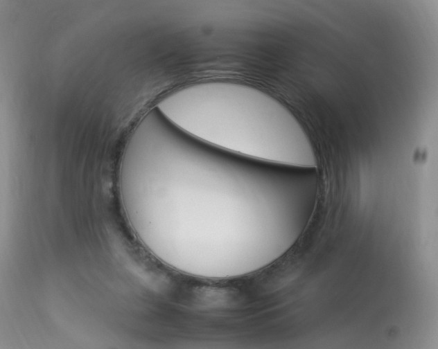X0000113950255200909251010