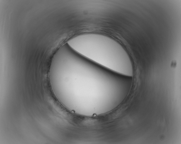 X0000113950257200909251010