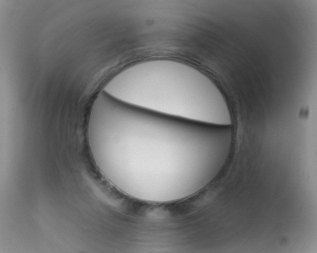 X0000113950258200909251010