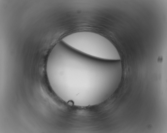 X0000113950259200909251010
