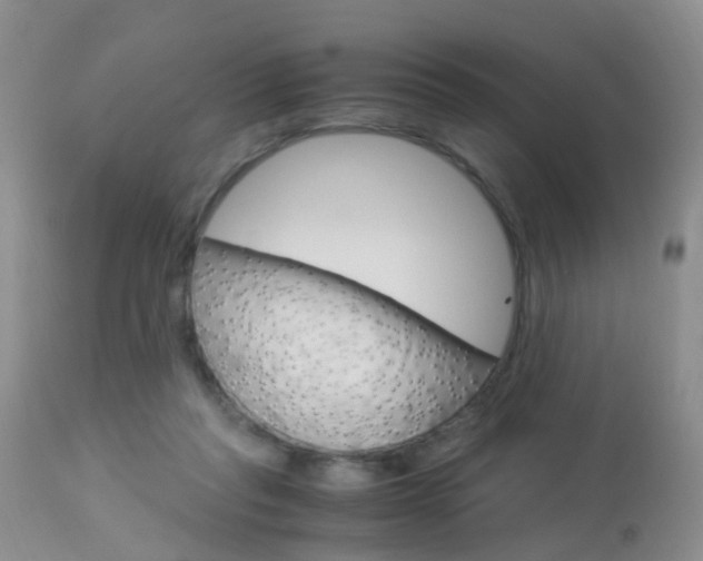 X0000113950261200909251010