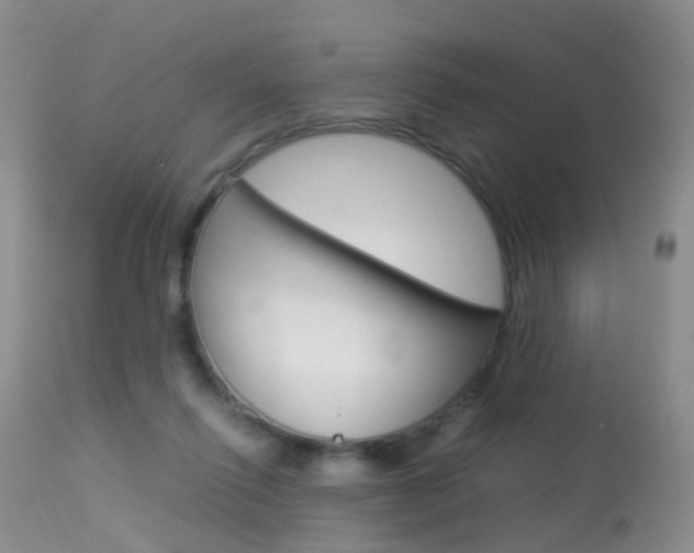 X0000113950262200909251010