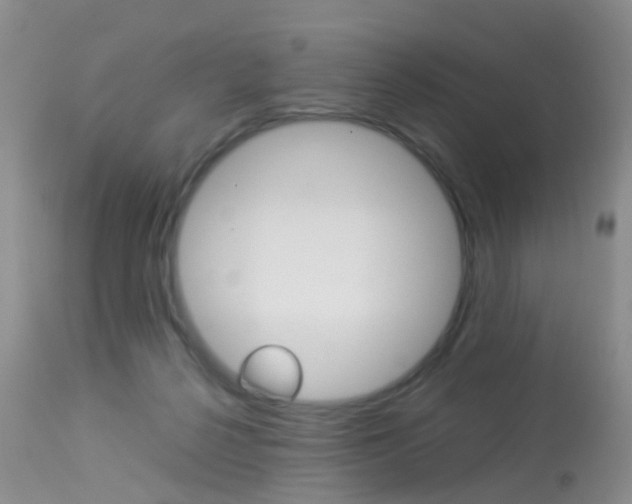 X0000113950264200909251010