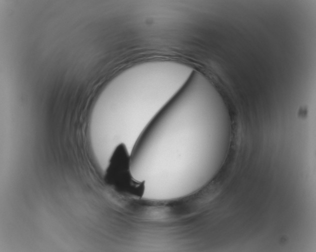 X0000113950266200909251010
