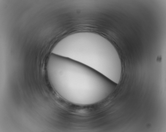 X0000113950267200909251010