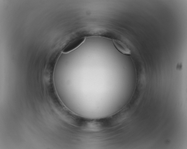 X0000113950268200909251010