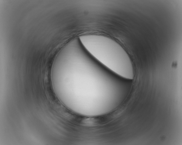 X0000113950269200909251010
